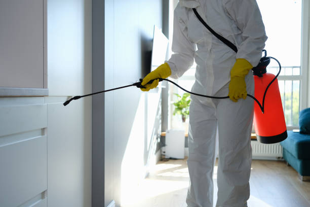 Trusted Aberdeen, WA Mold Removal Experts