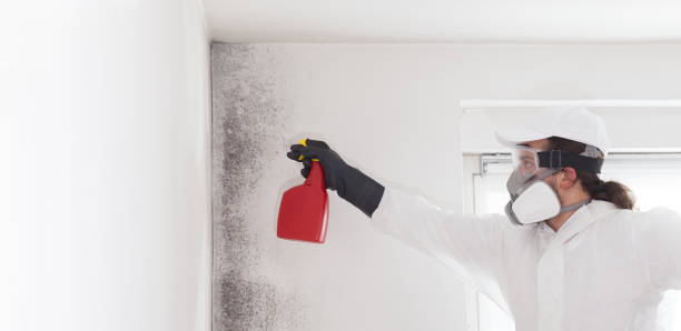Best Residential Mold Removal  in Aberdeen, WA